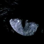 Marjet