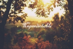Unpredictable - 5. kapitola