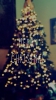 /gallery/christmas.jpg