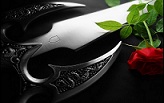 Mad Lover - 1. kapitola
