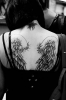 /gallery/wings.jpg